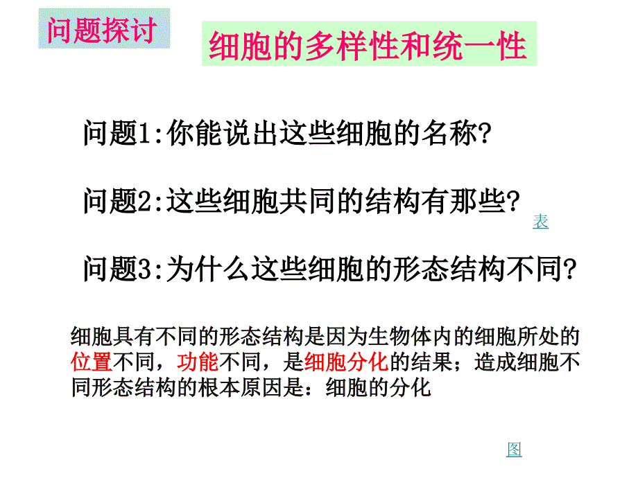 细胞多样性和统一性.ppt_第3页