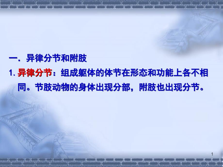 水生生物学虾幻灯片_第1页