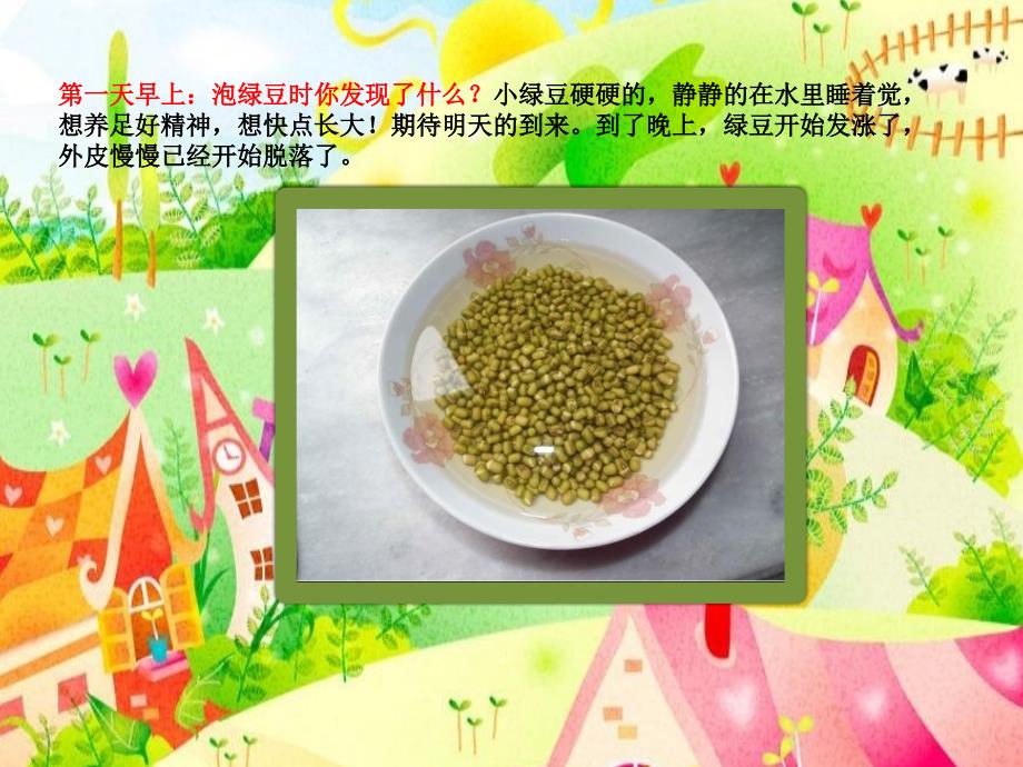 《绿豆芽生长记》PPT课件_第4页