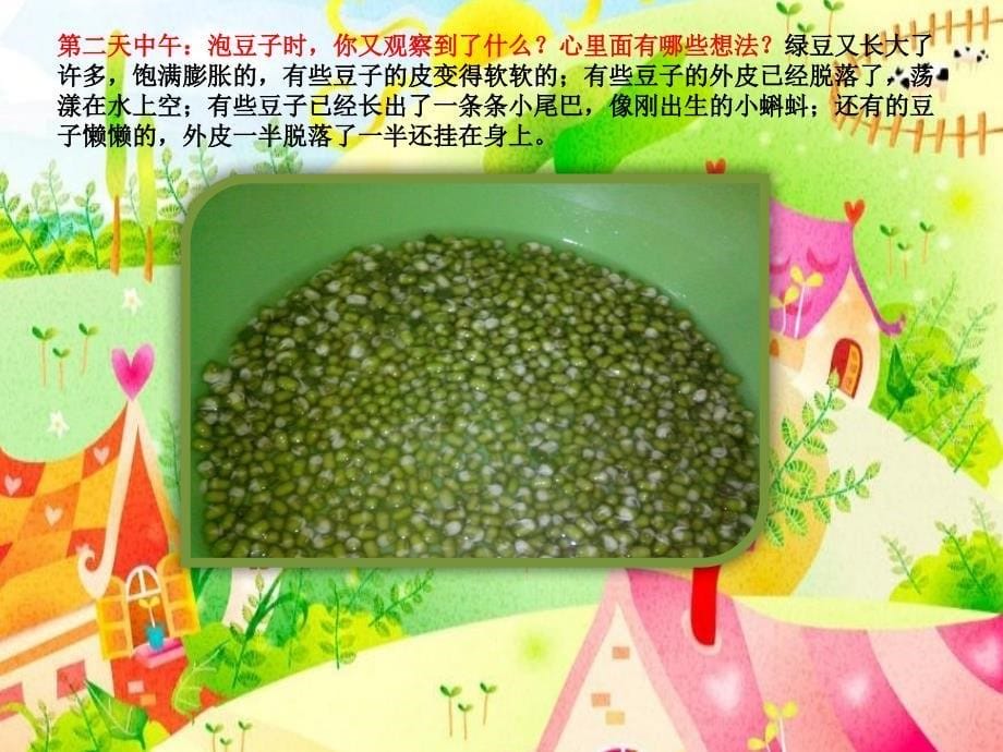 《绿豆芽生长记》PPT课件_第5页