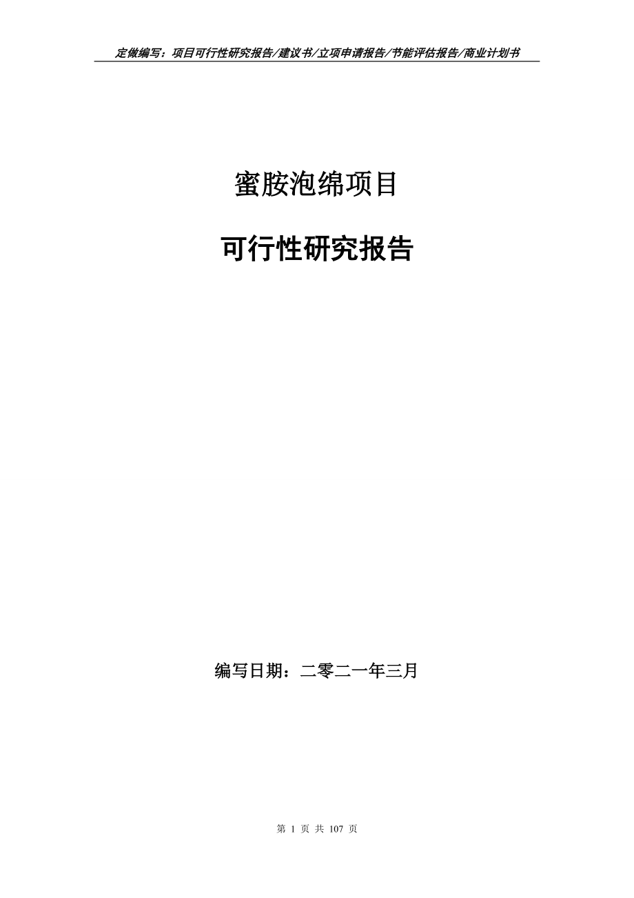 蜜胺泡绵项目可行性研究报告立项申请_第1页