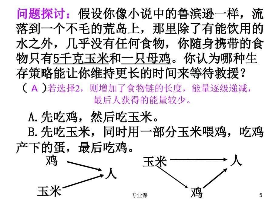 生态系统的能量流动【基础教学】_第5页