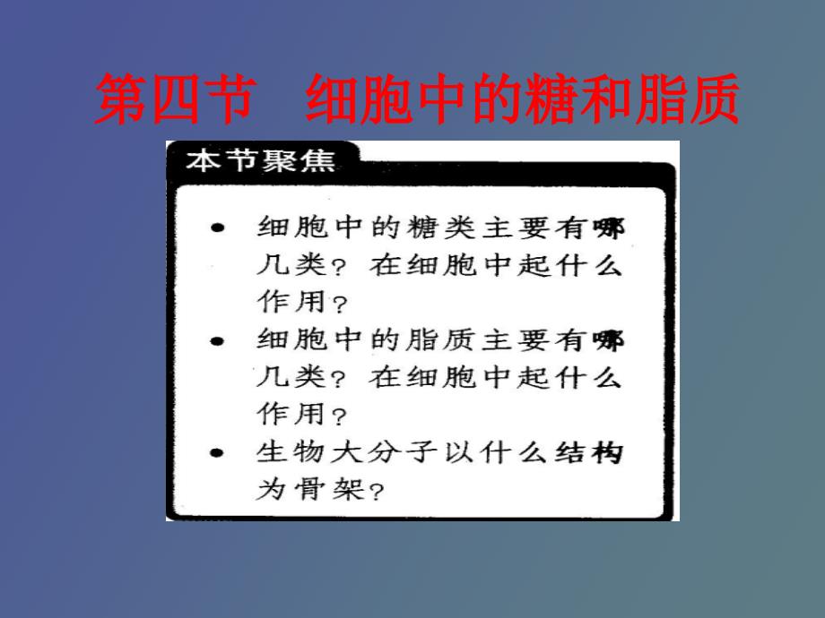 细胞中的糖类和脂质L_第1页