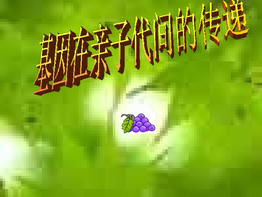 八年级生物基因在亲子代间的传递.ppt_第1页