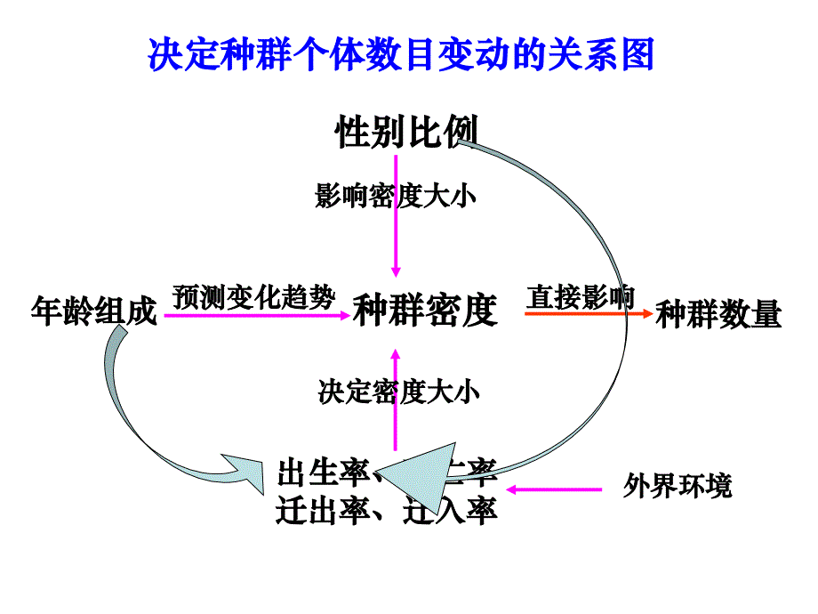 二轮复习种群和群落xieqian课件_第4页