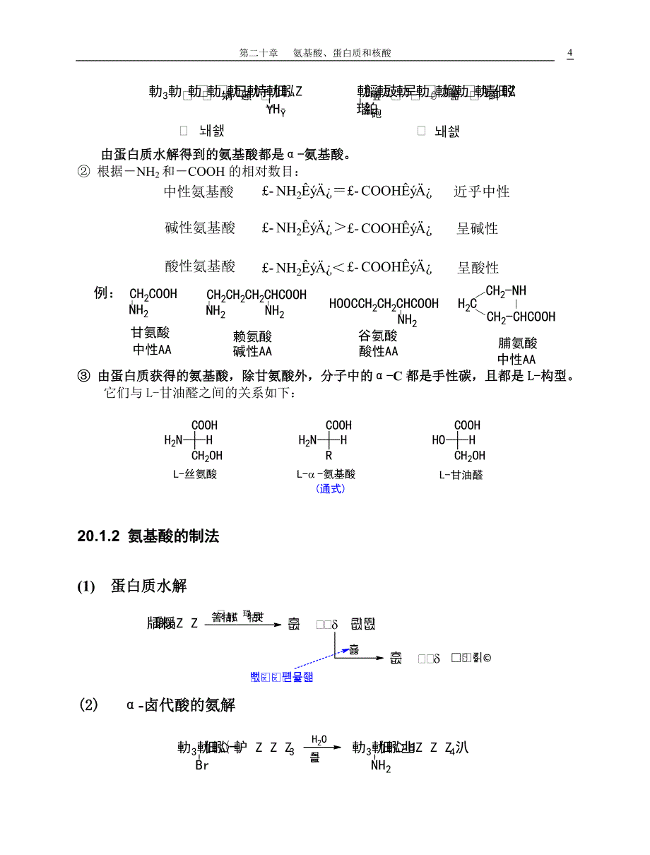 第二十章氨基酸蛋白质和核酸.doc_第4页