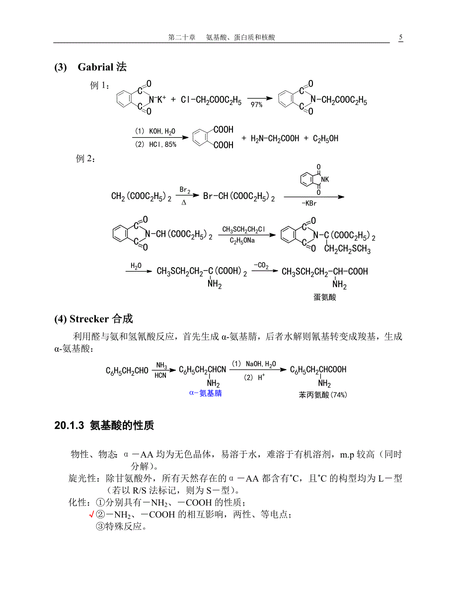 第二十章氨基酸蛋白质和核酸.doc_第5页