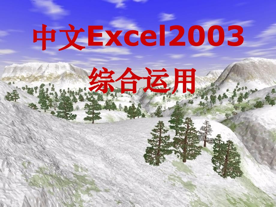 中文Excel2003综合应用_第1页