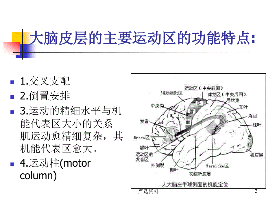 偏瘫运动功能评定（行业荟萃）_第3页