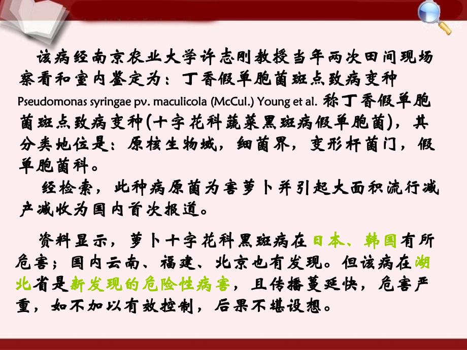 萝卜细菌性黑斑病灾变规律和应急控制技术文档资料_第2页