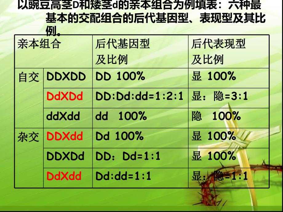 高一生物遗传规律PPT课件02_第4页