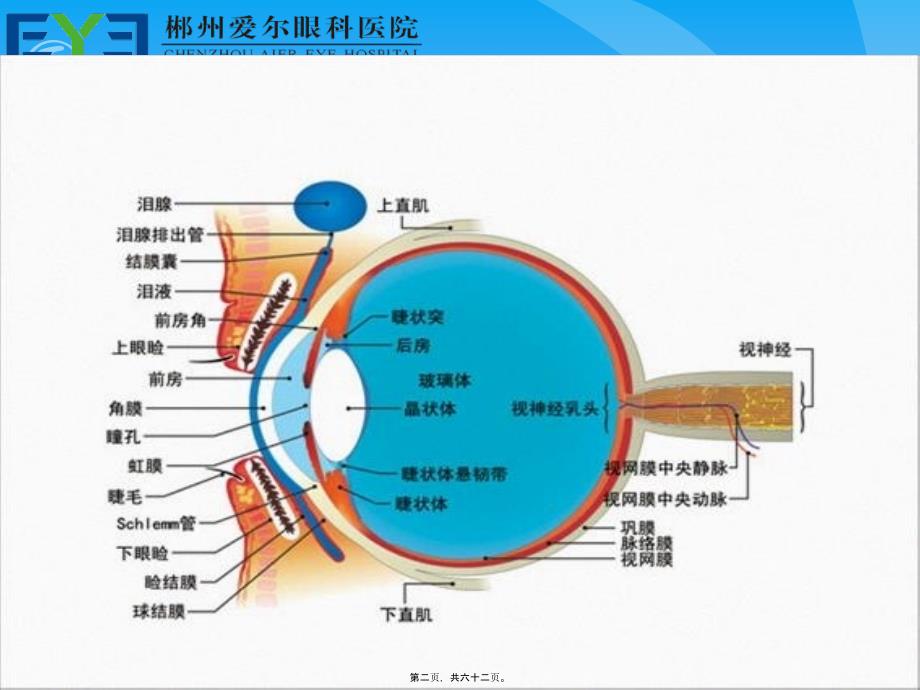 屈光不正矫正方法课件_第2页