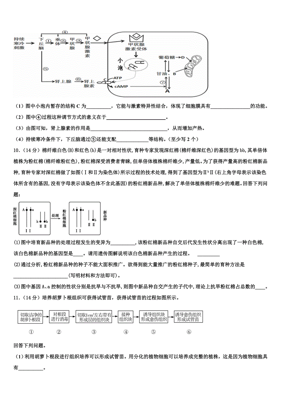 北京师大二附中2022学年高二生物第二学期期末监测试题(含解析).doc_第3页