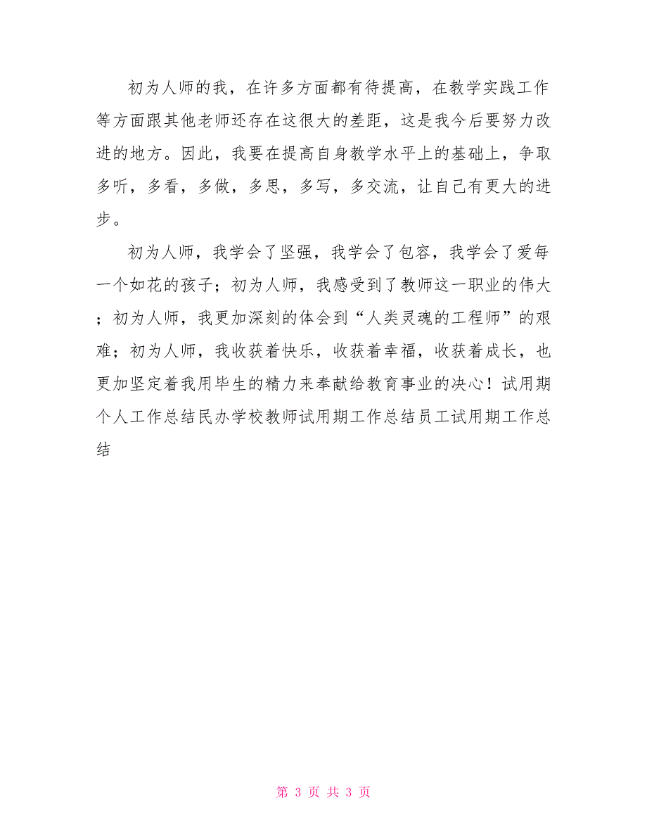 小学英语教师试用期个人总结_第3页