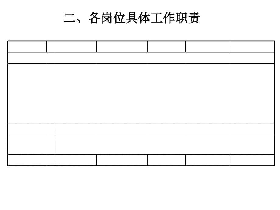 天道审计监察部工作规划_第5页