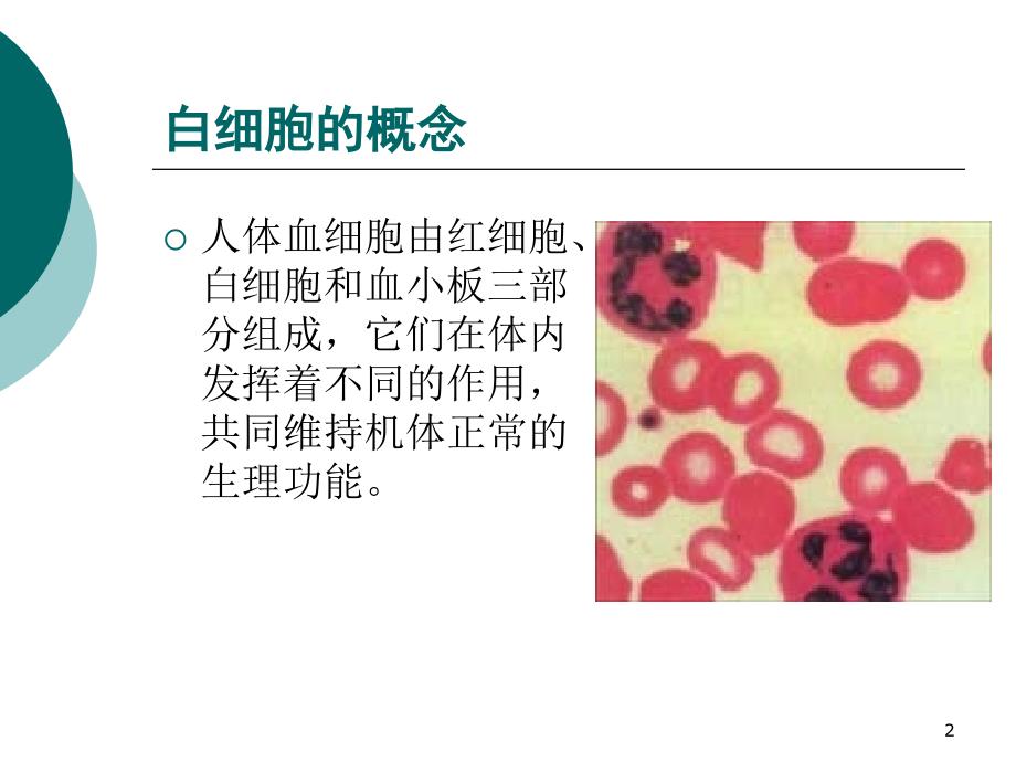 升血调元颗粒_第2页