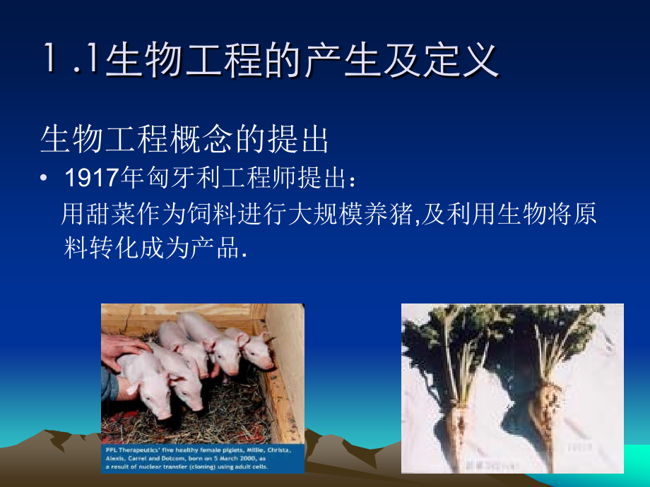 生物工程概论课件_第4页