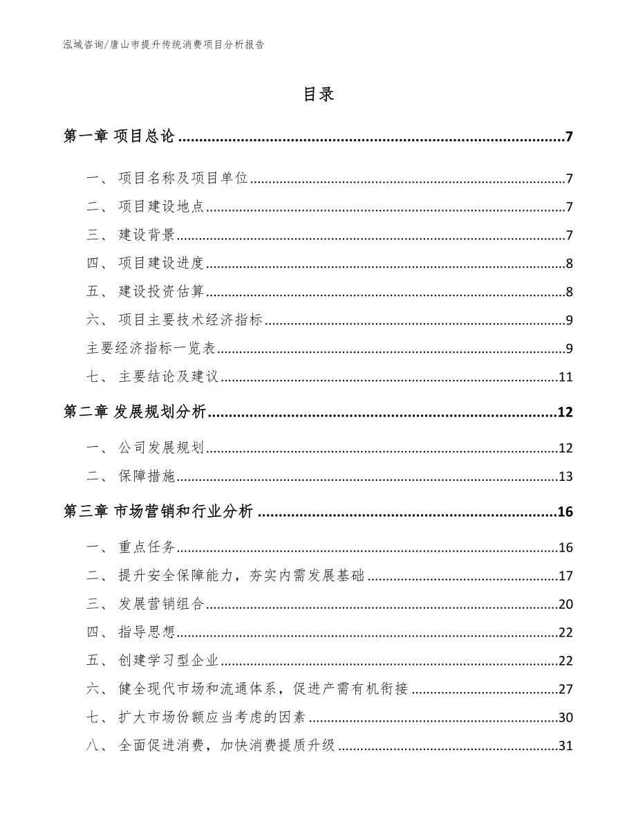 唐山市提升传统消费项目分析报告模板范本_第2页