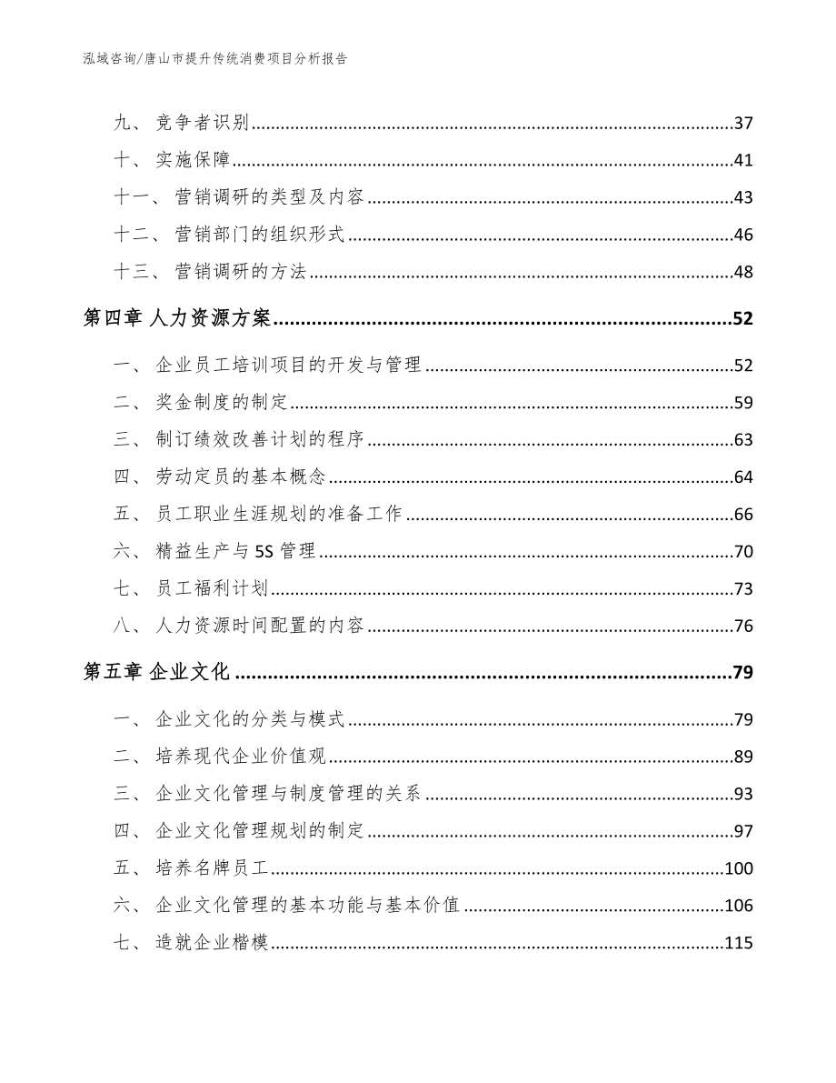 唐山市提升传统消费项目分析报告模板范本_第3页