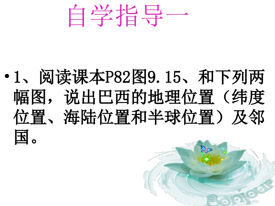 巴西第一课时_第3页