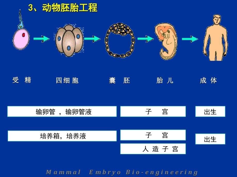 动物克隆技术复旦本科生_第5页