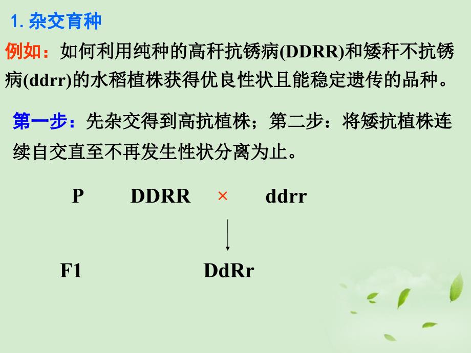 必修二61杂交育种与诱变育种文档资料_第2页