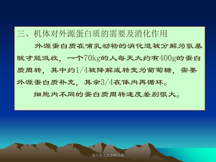 蛋白质及氨基酸代谢课件_第5页