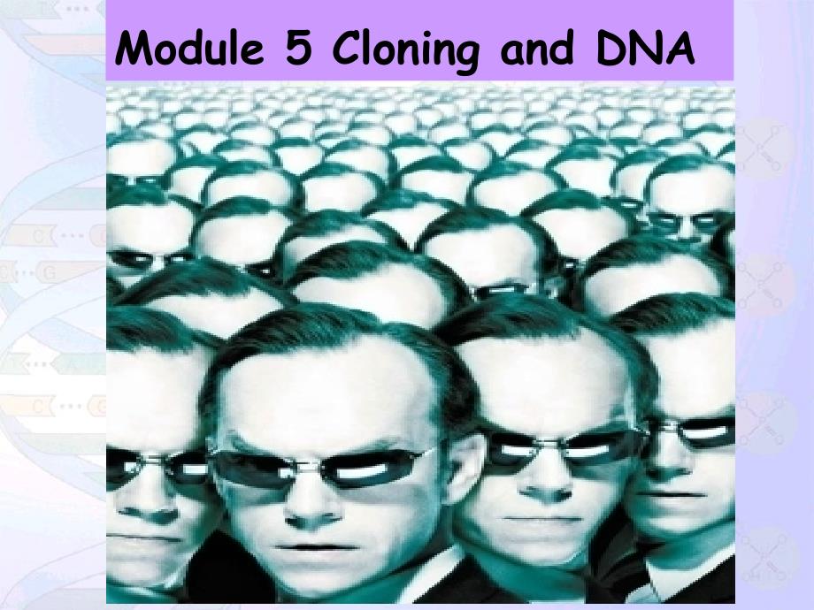 B6M5cloning_and_DNA_第2页