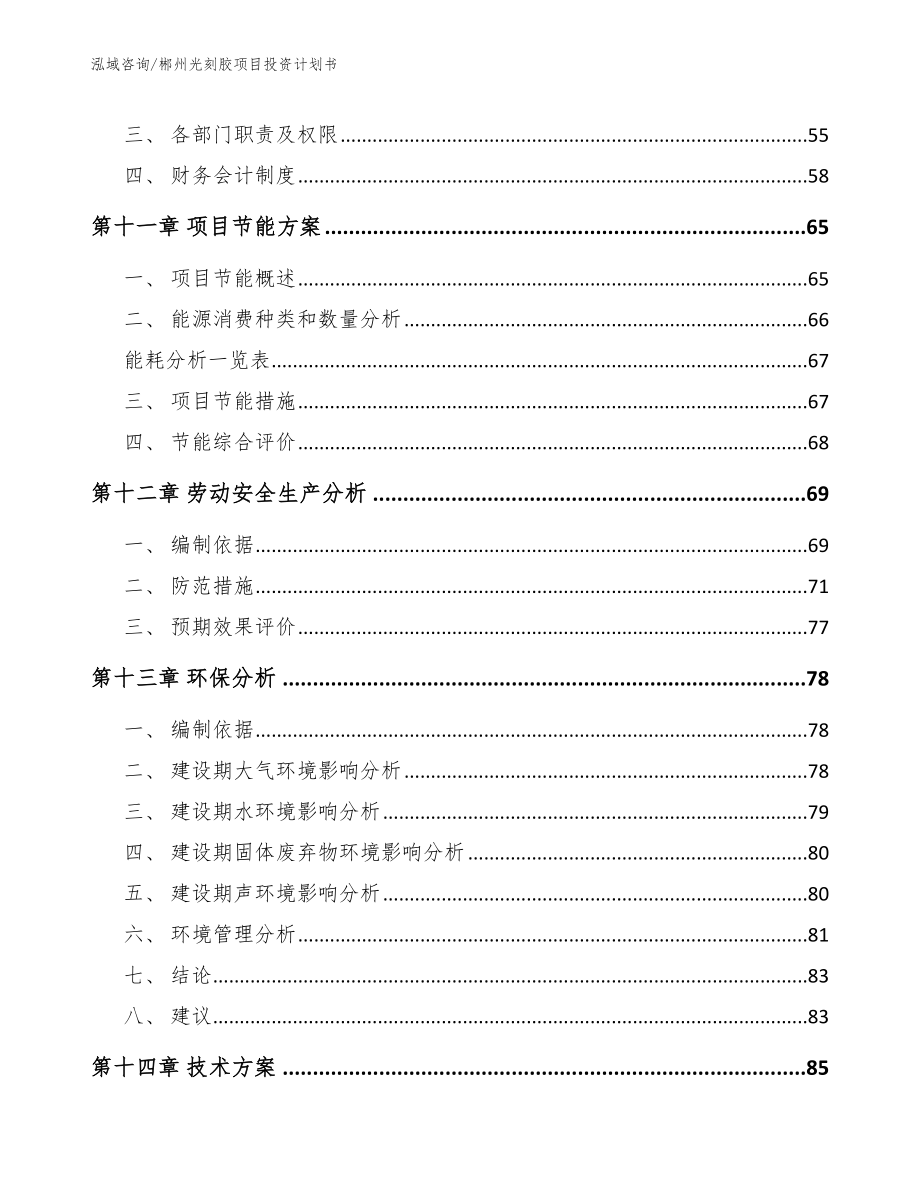 郴州光刻胶项目投资计划书【模板】_第4页