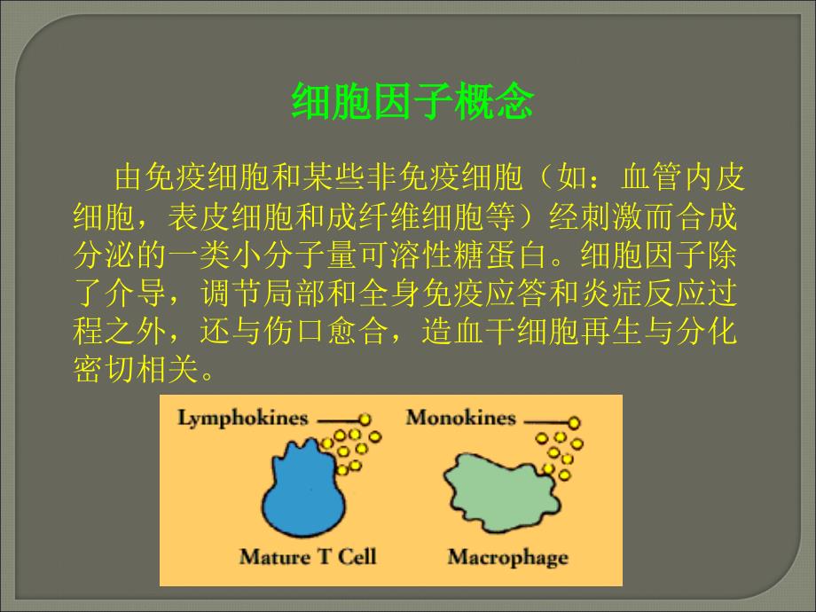 细胞因子的简介课件_第2页