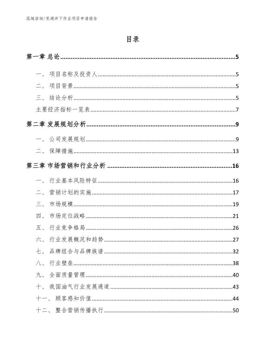 芜湖井下作业项目申请报告（范文）_第1页