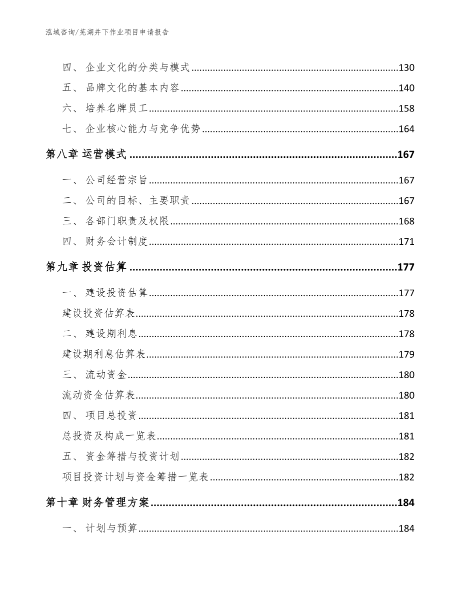 芜湖井下作业项目申请报告（范文）_第3页