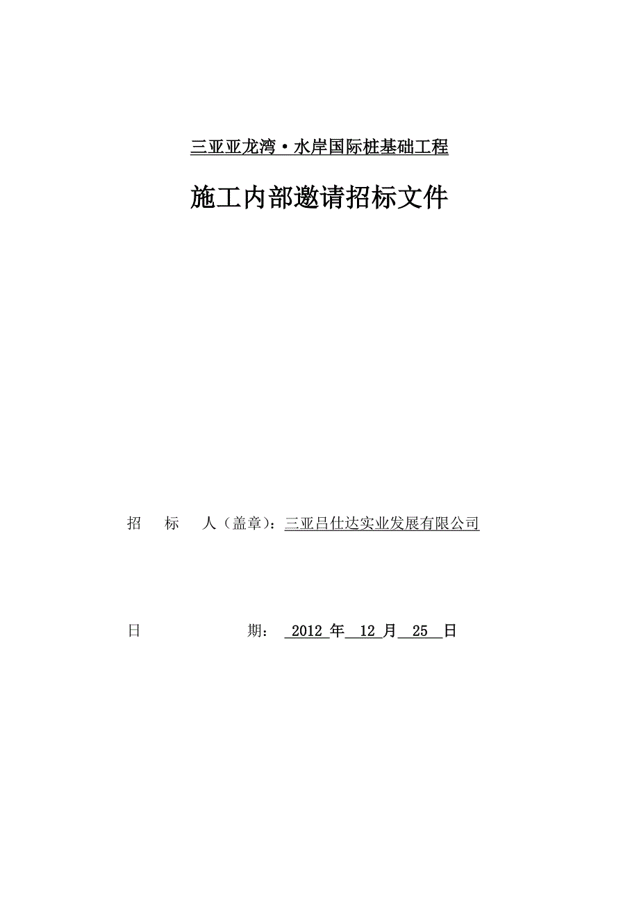 海南水岸国际基础管桩招标文件_第1页