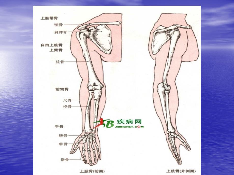 上肢骨折术后康复锻炼_第2页