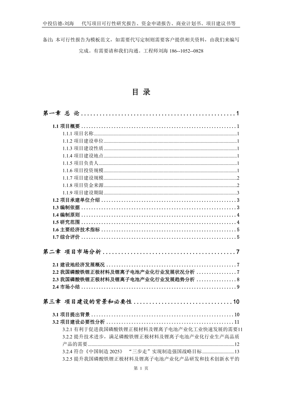 磷酸铁锂正极材料及锂离子电池产业化项目资金申请报告写作模板代写_第2页