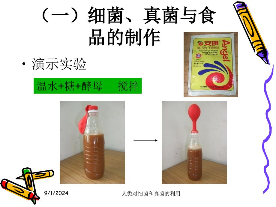 第五节人类对细菌和真菌的利用.ppt精品教育_第3页