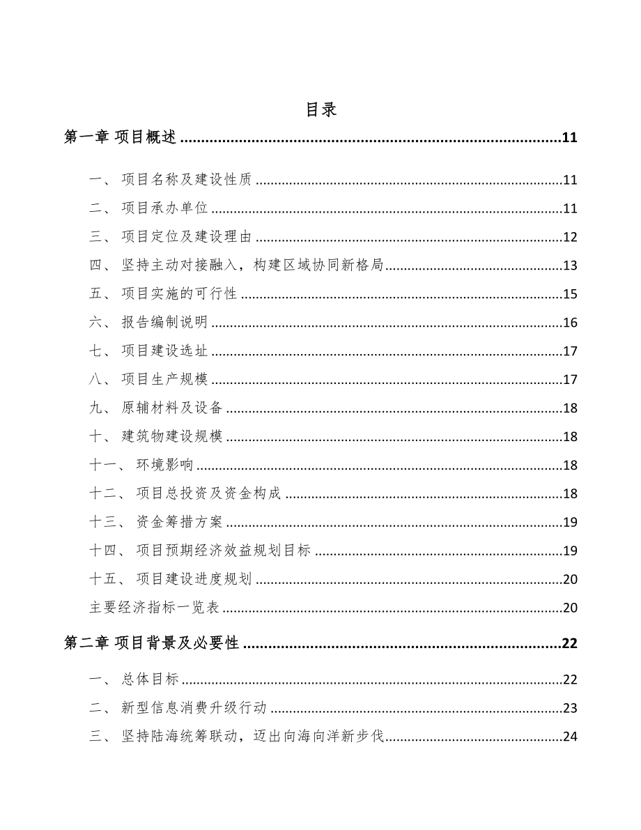 滨州5G+信息消费项目可行性研究报告(DOC 97页)_第2页