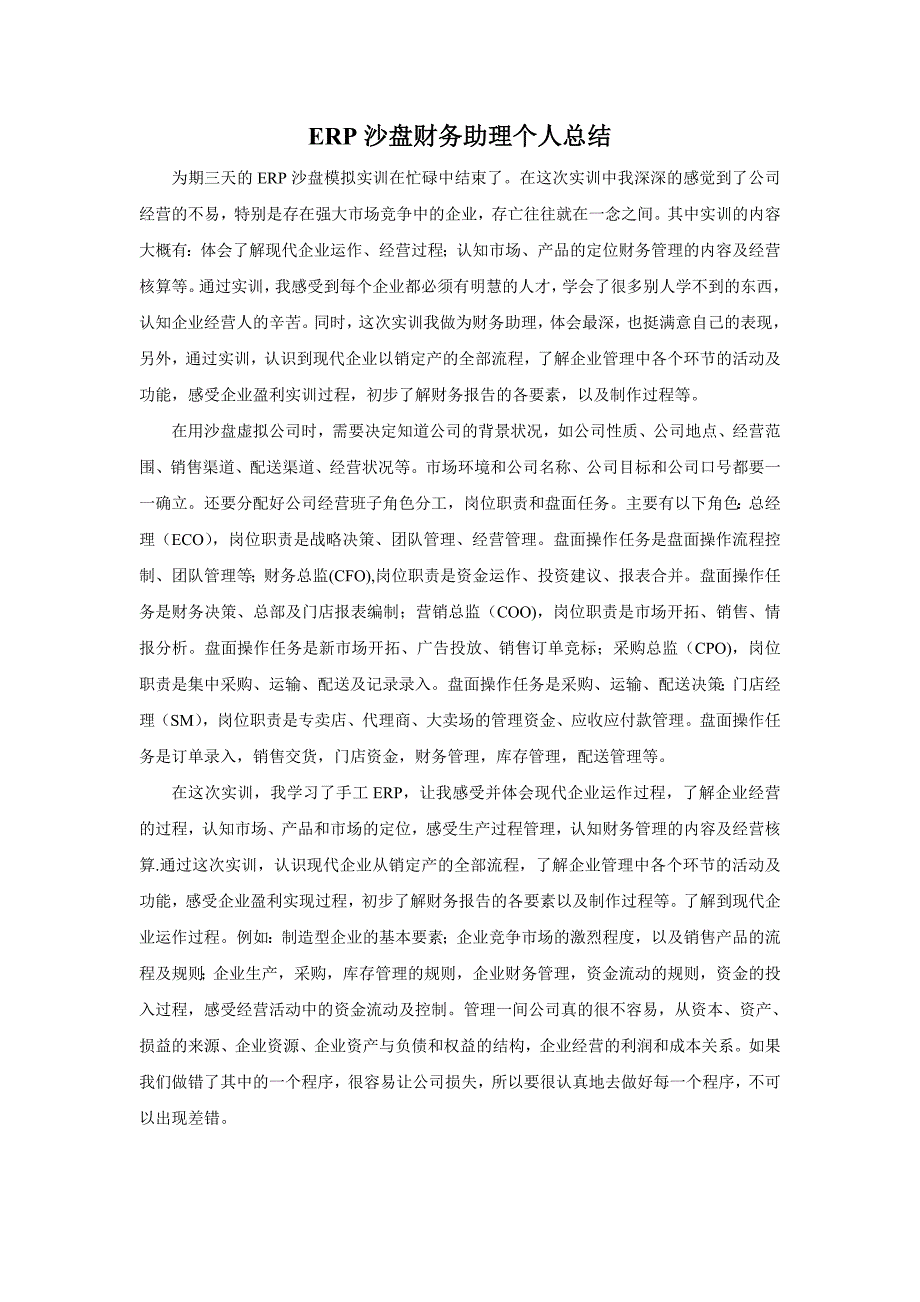 ERP沙盘财务助理个人总结_第1页