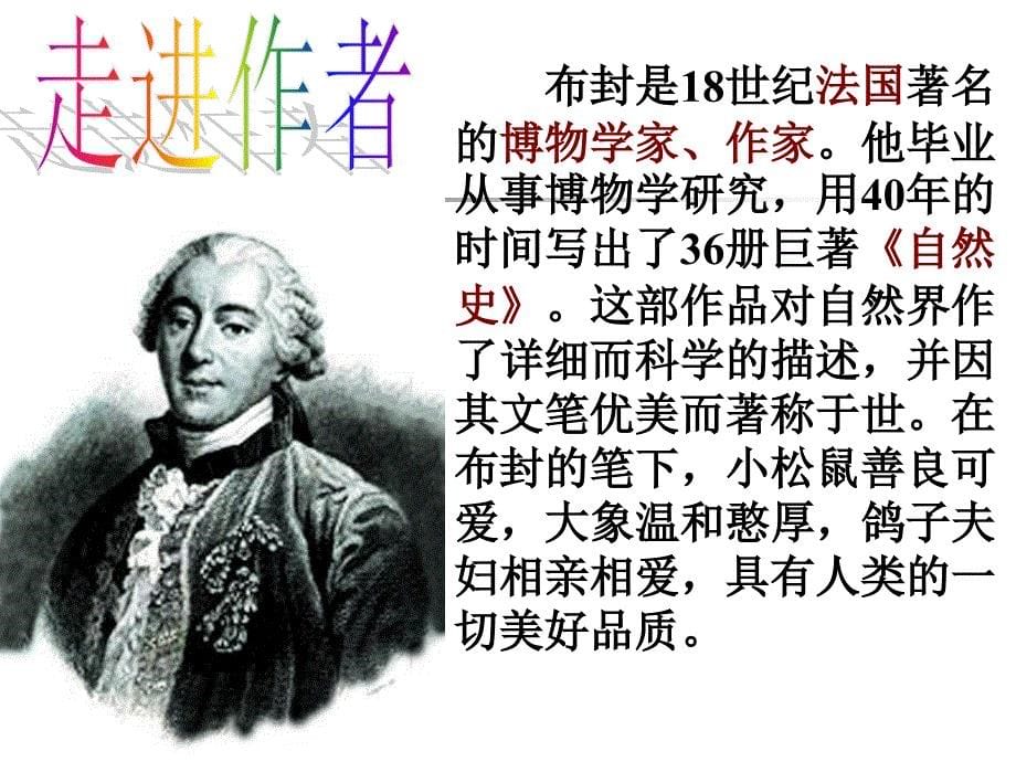 《松鼠》PPT课件 (2)_第5页