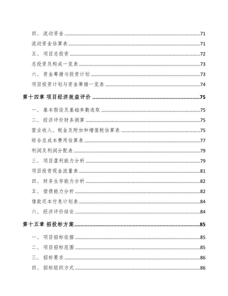 泰安石英玻璃制品项目可行性研究报告(DOC 73页)_第5页