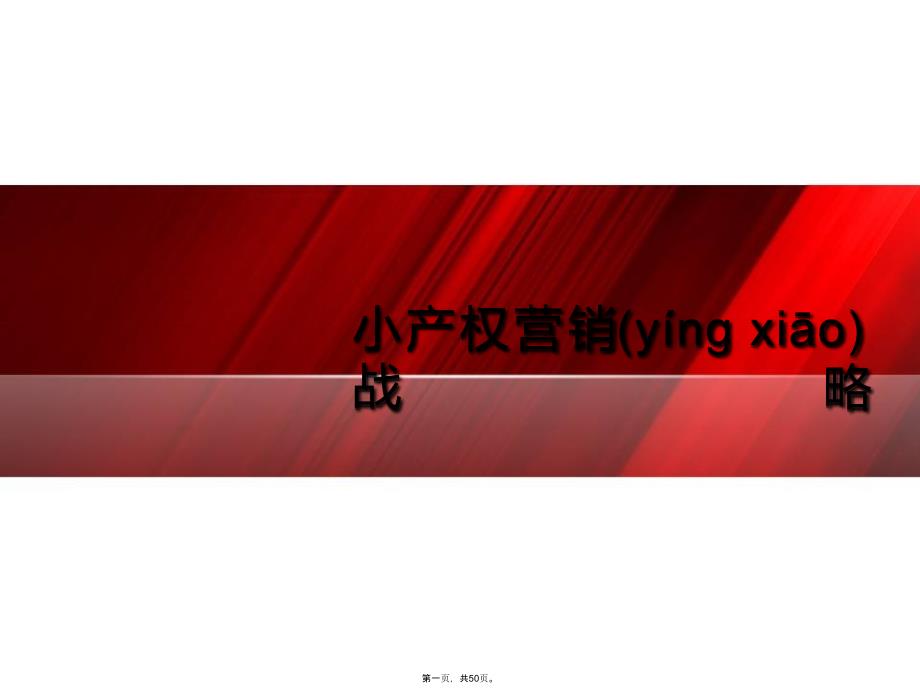 南京江北小产权项目营销战略讲课稿_第1页