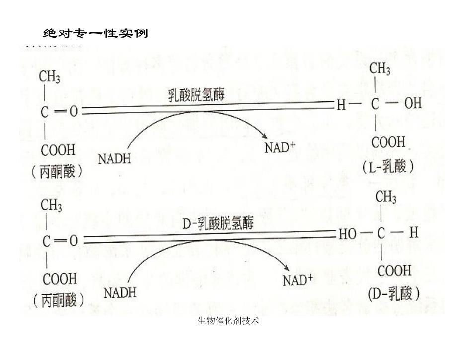 生物催化剂技术课件_第3页