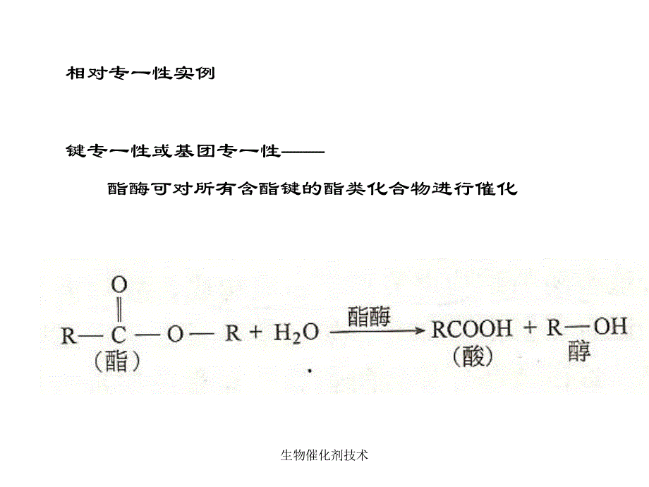 生物催化剂技术课件_第4页