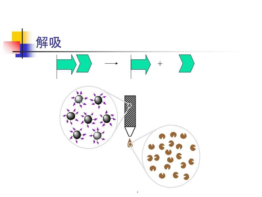 亲和层析原理和步骤_第5页