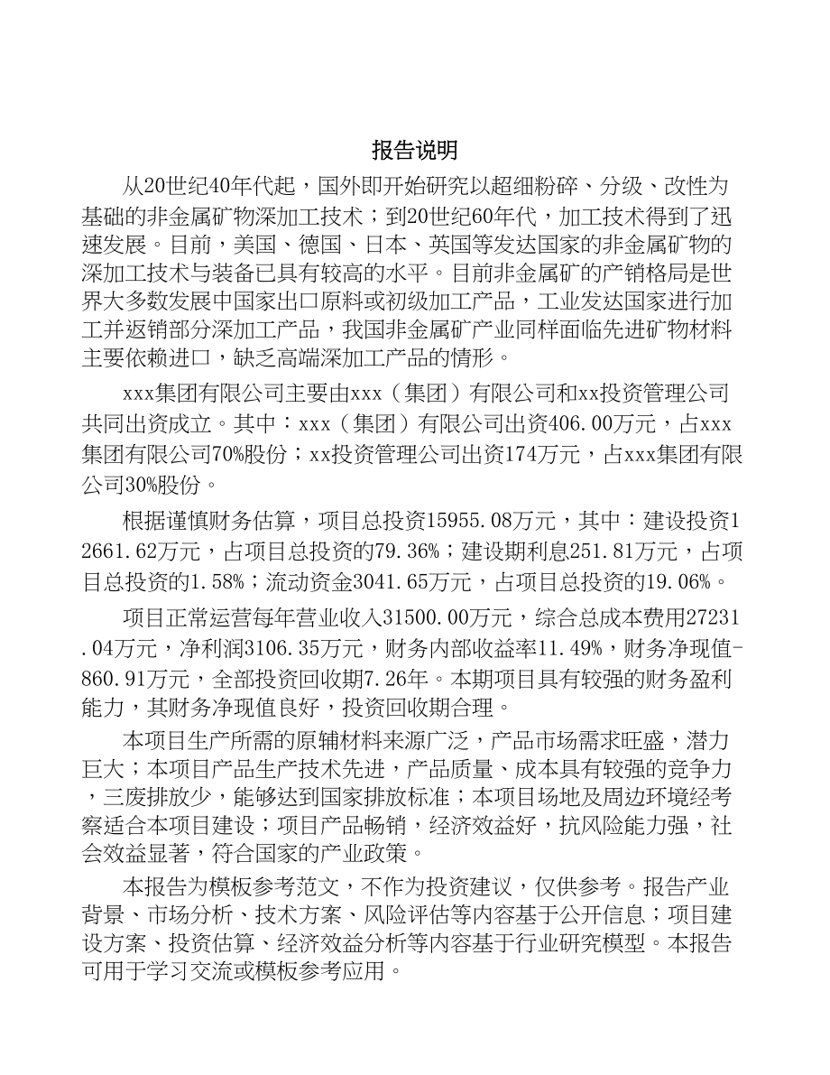 武汉关于成立硅微粉公司可行性研究报告(DOC 90页)_第2页