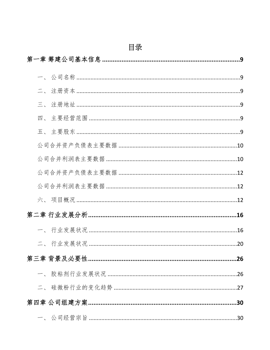 武汉关于成立硅微粉公司可行性研究报告(DOC 90页)_第3页