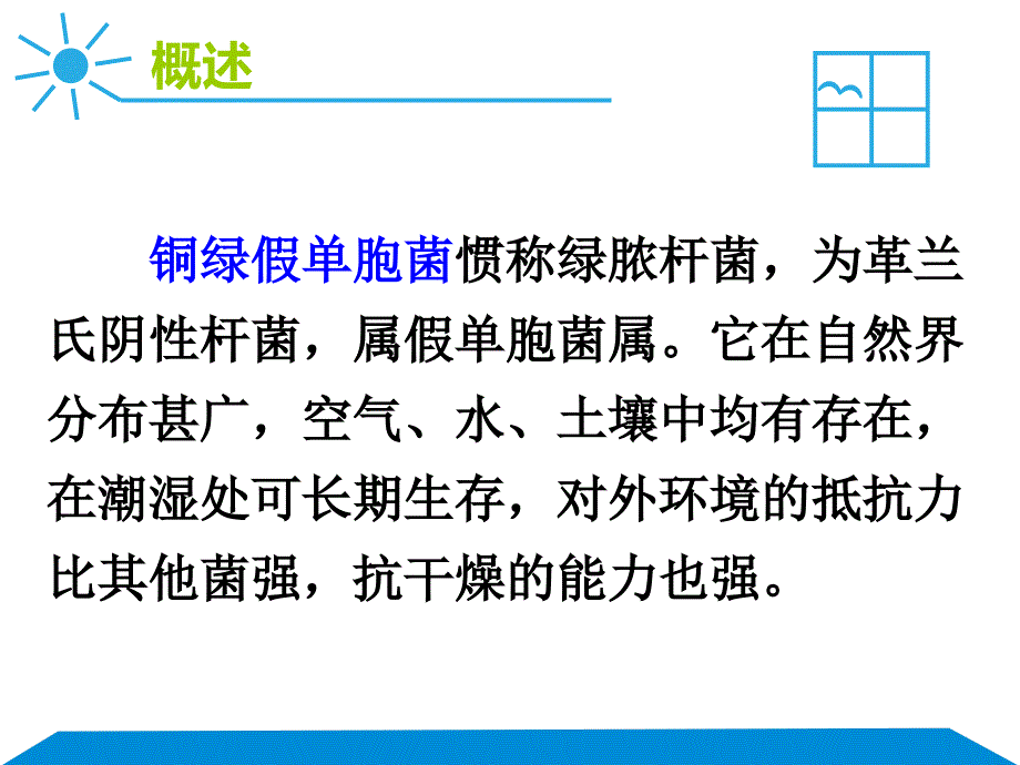 铜绿假单胞菌的分类鉴定ppt课件_第4页