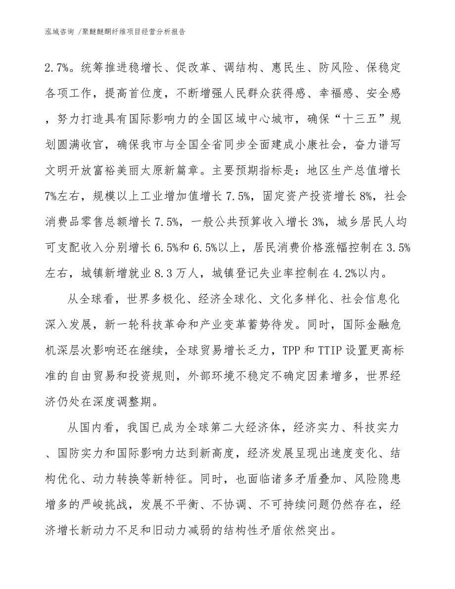 聚醚醚酮纤维项目经营分析报告_第5页