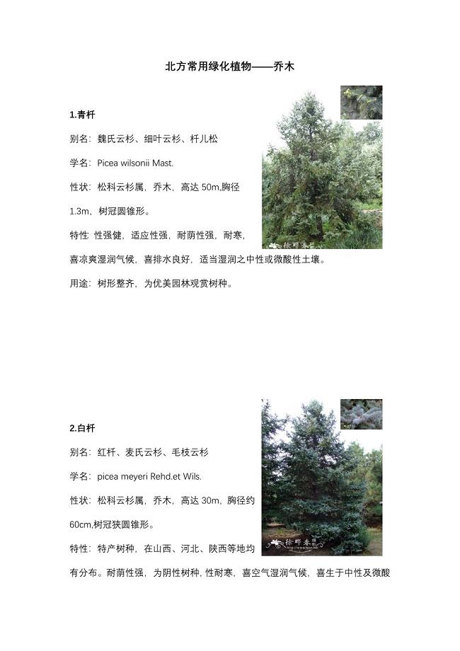 北方园林绿化常用植物-乔木.doc