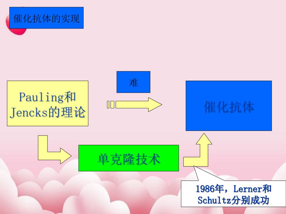 酶工程催化抗体课件_第4页